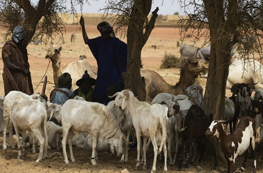 Lebih dari 100 Warga Mali Dibunuh Kelompok Bersenjata