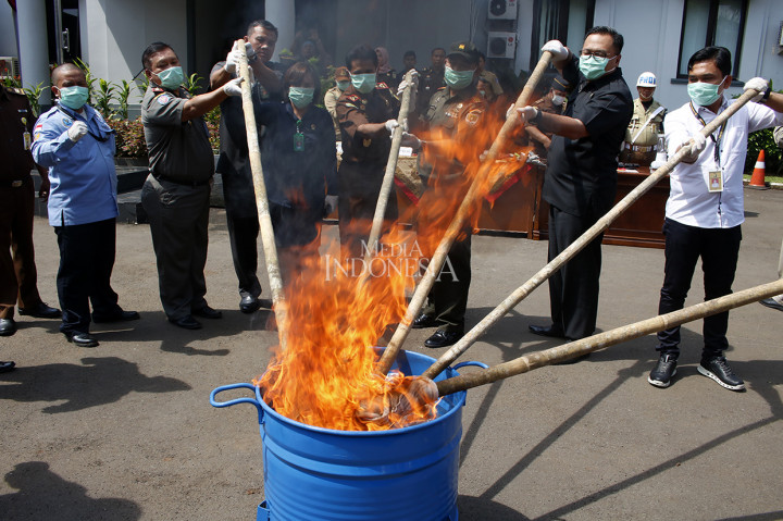 Kejari Depok Musnahkan 6,7 Kg Ganja dan 10 Unit Senjata Api