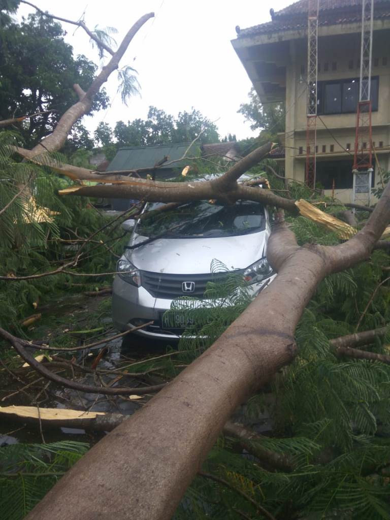 Pohon tumbang menimpa mobil di Jawa Tengah. Foto: MI/Djoko Sardjono