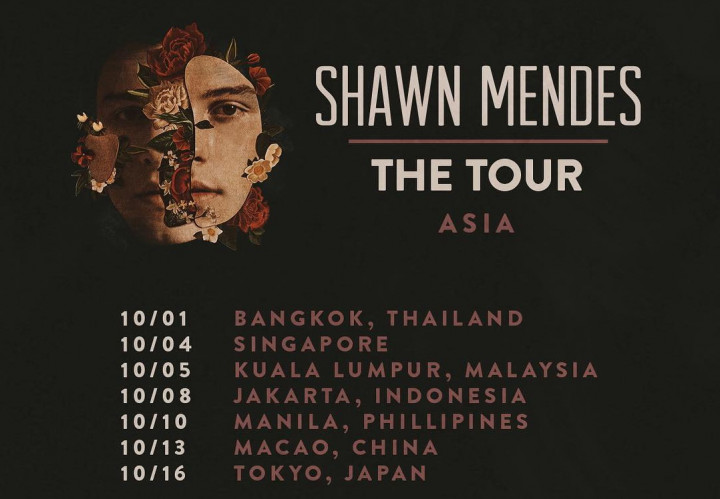 Daftar Harga dan Syarat Khusus Tiket Konser Shawn Mendes di Indonesia