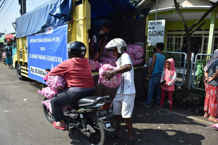 Pasokan Turun, Harga Bawang Putih Impor Melonjak