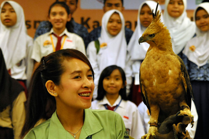 TSI Resmikan Kandang Pengembangbiakan Elang Jawa