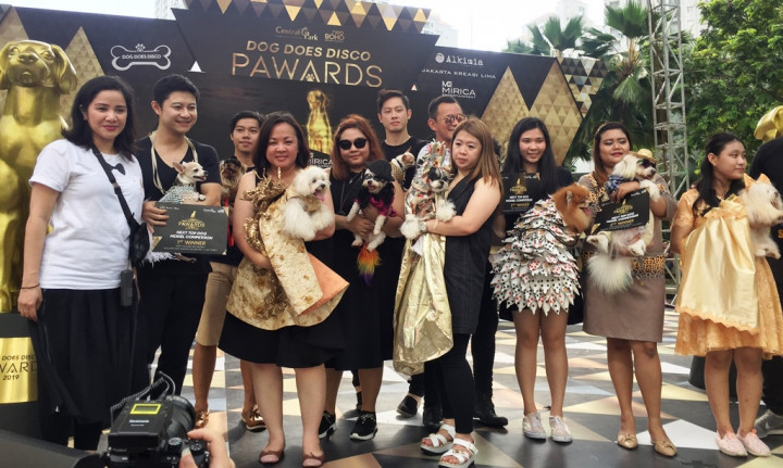 Dog Does Disco 2019, Ajang Penghargaan kepada Pencinta Anjing