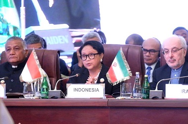 Indonesia Dorong Kerja Sama ACD di Bidang Energi Terbarukan
