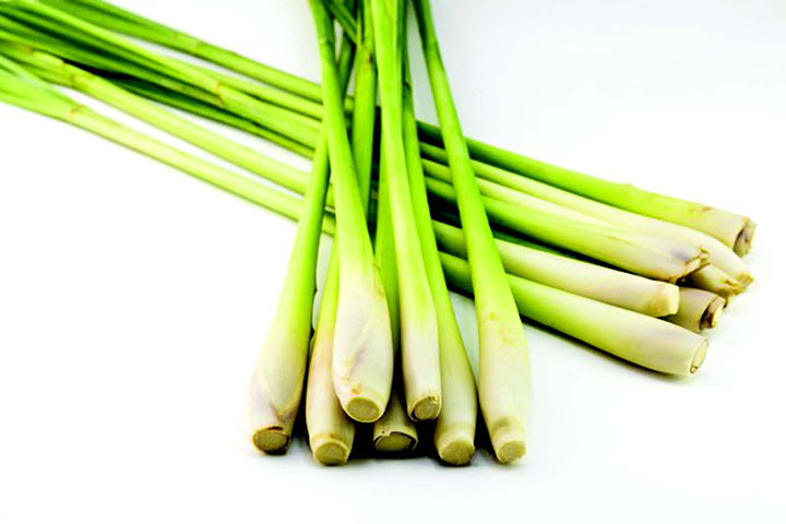 Beragam Manfaat Serai Wangi Kala Ramadan