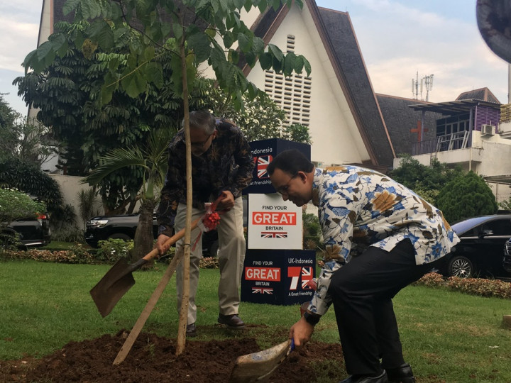 Anies dan Dubes Inggris Tanam Pohon Peringati 70 Tahun Hubungan Diplomatik