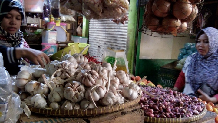 Harga Bawang Putih di Kupang Tembus Rp90 Ribu per Kg