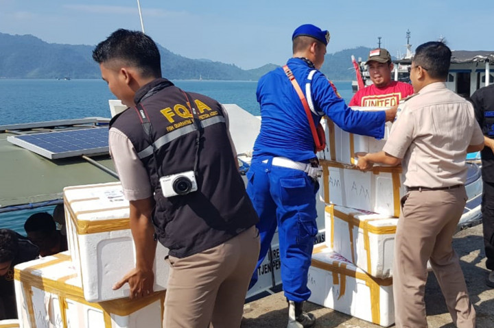Penyelundupan Benih Lobster Senilai Rp30,8 Miliar Digagalkan