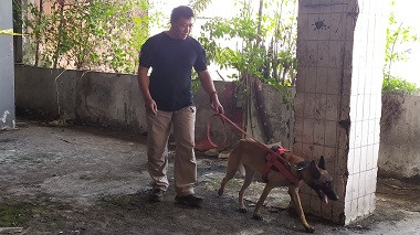 Anjing Pelacak Buru Pemutilasi di Pasar Besar Malang