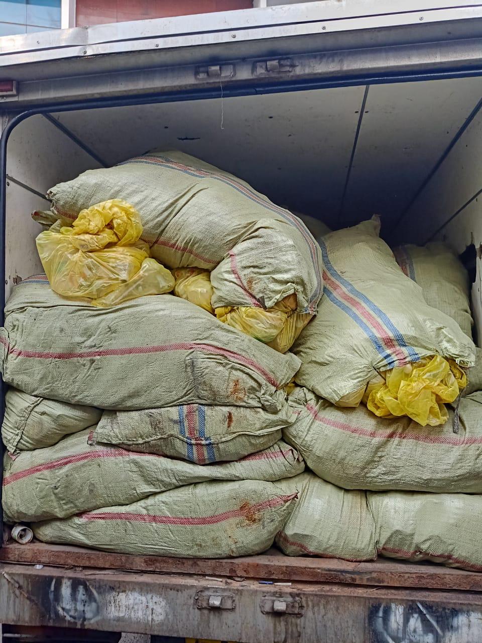300 kg ganja yang disita BNN. Istimewa