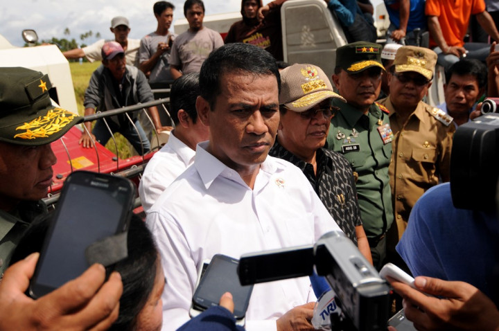 Mentan Minta Bulog Serap Produksi Cabai Petani