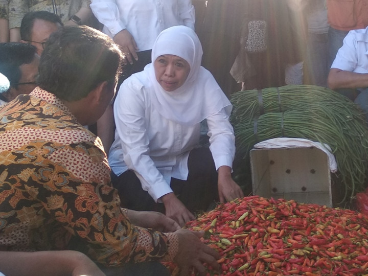 Bulog dan BUMD Harus Serap Cabai Petani