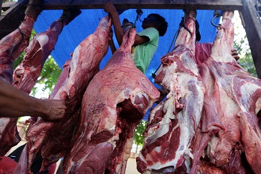 Gunungkidul Dijamin Bebas Daging Mengandung Antraks
