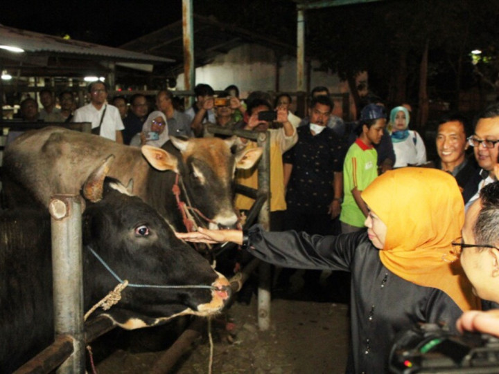 Khofifah Pastikan Stok Daging di Jatim Aman