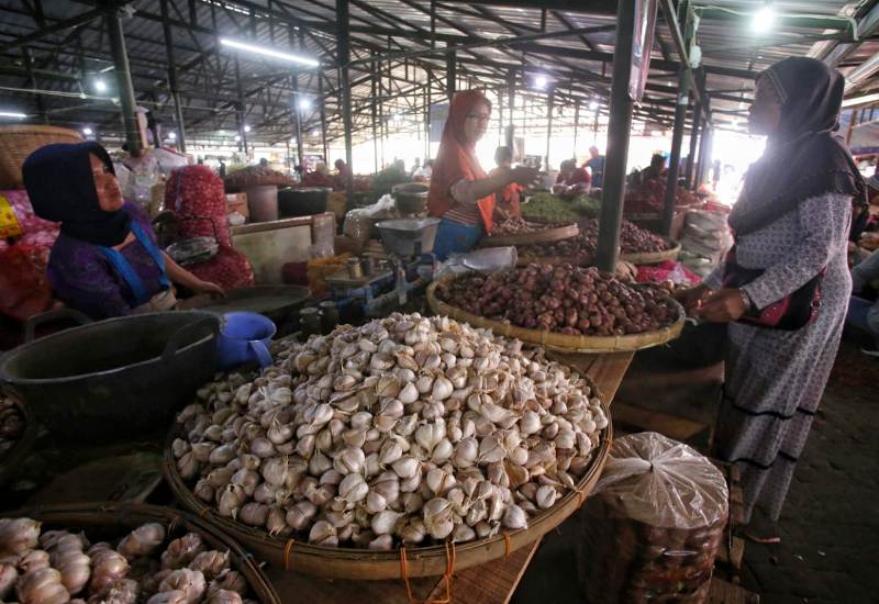 Bawang Putih Dok MI/Usman.