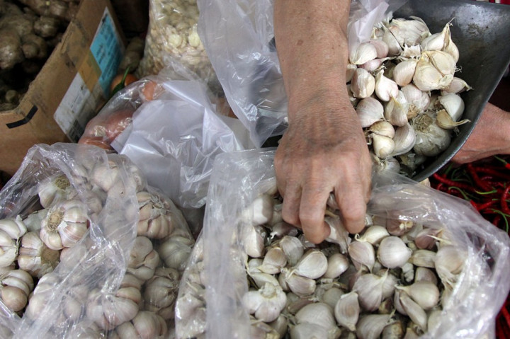 Bulog Tidak Perlu Ikut Impor Bawang Putih