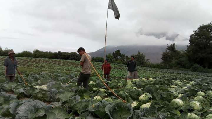 Siswa SD di Kaki Gunung Sinabung Butuh Masker
