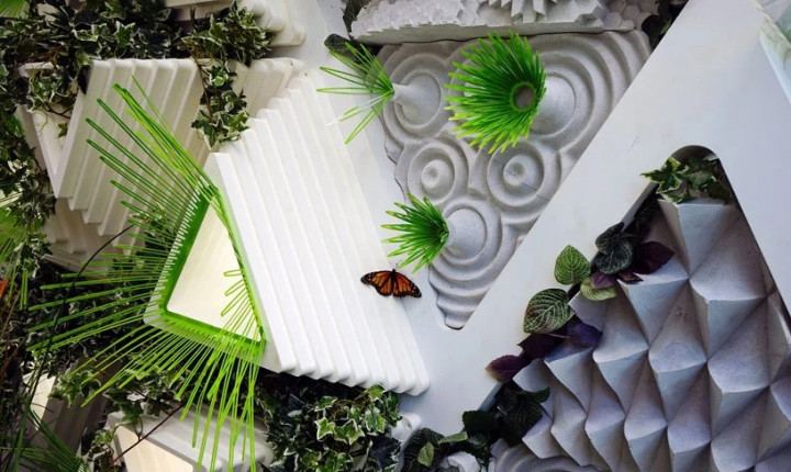 Dinding Gedung Dijadikan Taman Kupu-kupu