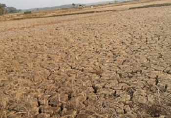 Potensi Kekeringan di Jepara Diprediksi Meluas