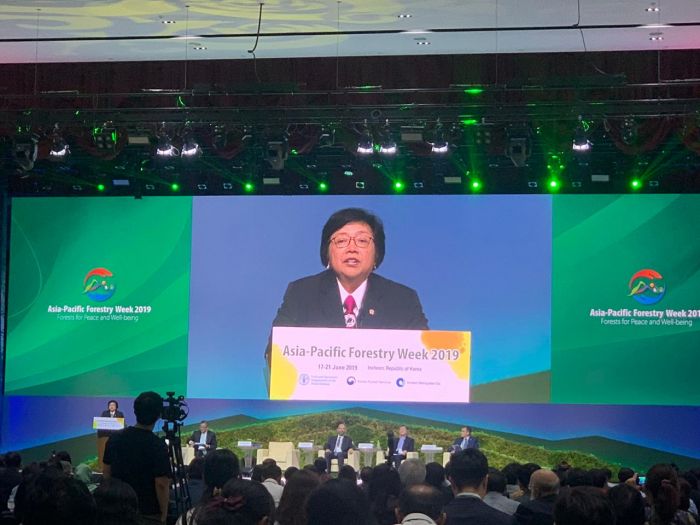 Indonesia Berkomitmen Lanjutkan Moratorium Hutan