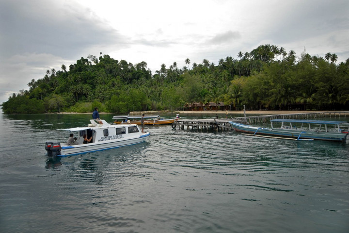 Togean dan Samota Ditetapkan Jadi Cagar Biosfer Baru