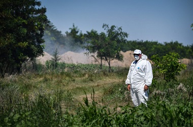 FAO: Tiongkok dan Vietnam Musnahkan 3,7 Juta Babi