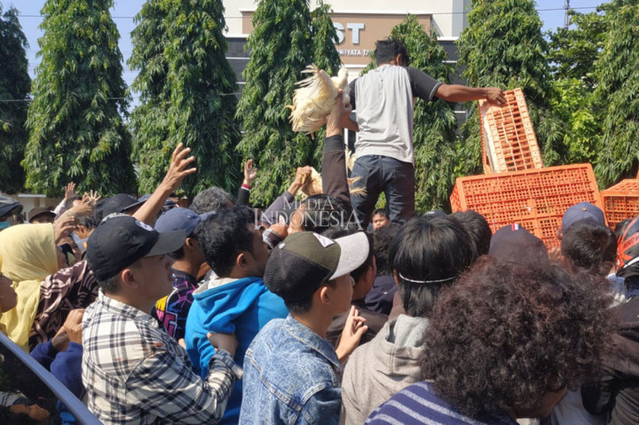 Peternak Jateng dan DIY Bagikan 30 Ribu Ayam Gratis