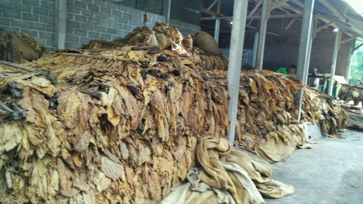 Penggabungan Batasan Produksi Rokok Bisa Dongkrak Penerimaan Negara