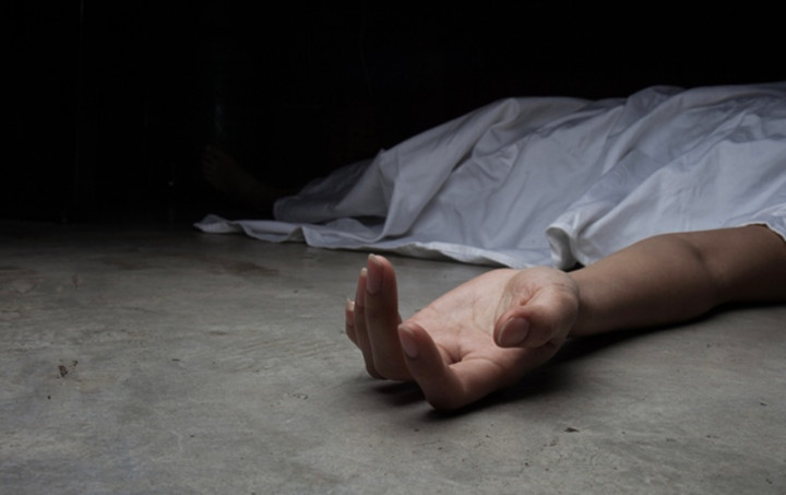 Penumpang Gelap Pesawat Jatuh di Perumahan Warga