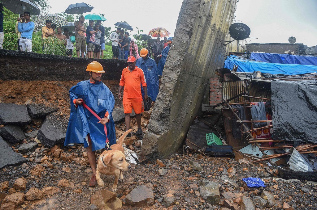 Petugas menggunakan anjing pelacak dalam mencari korban di tengah lokasi tembok roboh di Mumbai, India, Selasa 2 Juli 2019. (Foto: AFP/PUNIT PARANJPE)