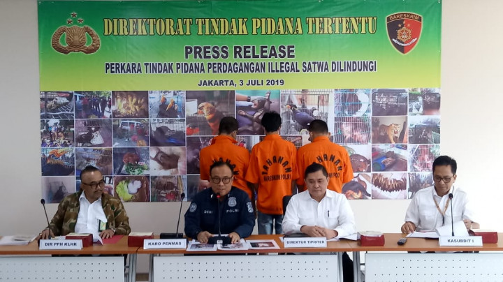 Pedagang Beruang Madu Dibekuk