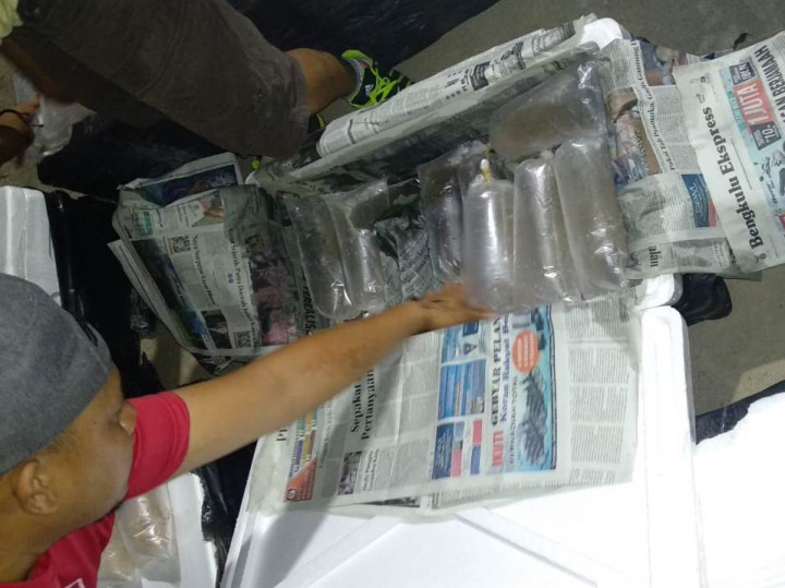 Penyelundupan Benih Lobster Senilai Rp17 Miliar Digagalkan