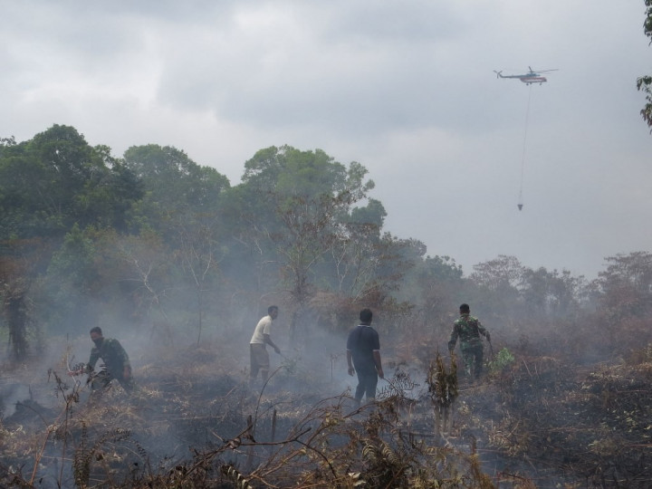 Tiga Kabupaten di Sumsel Rawan Karhutla