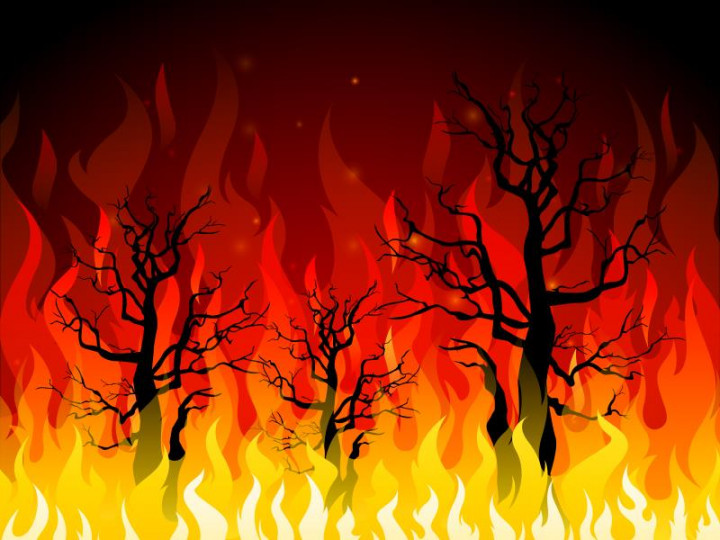 BPBD DIY Petakan Daerah Rawan Kebakaran Lahan