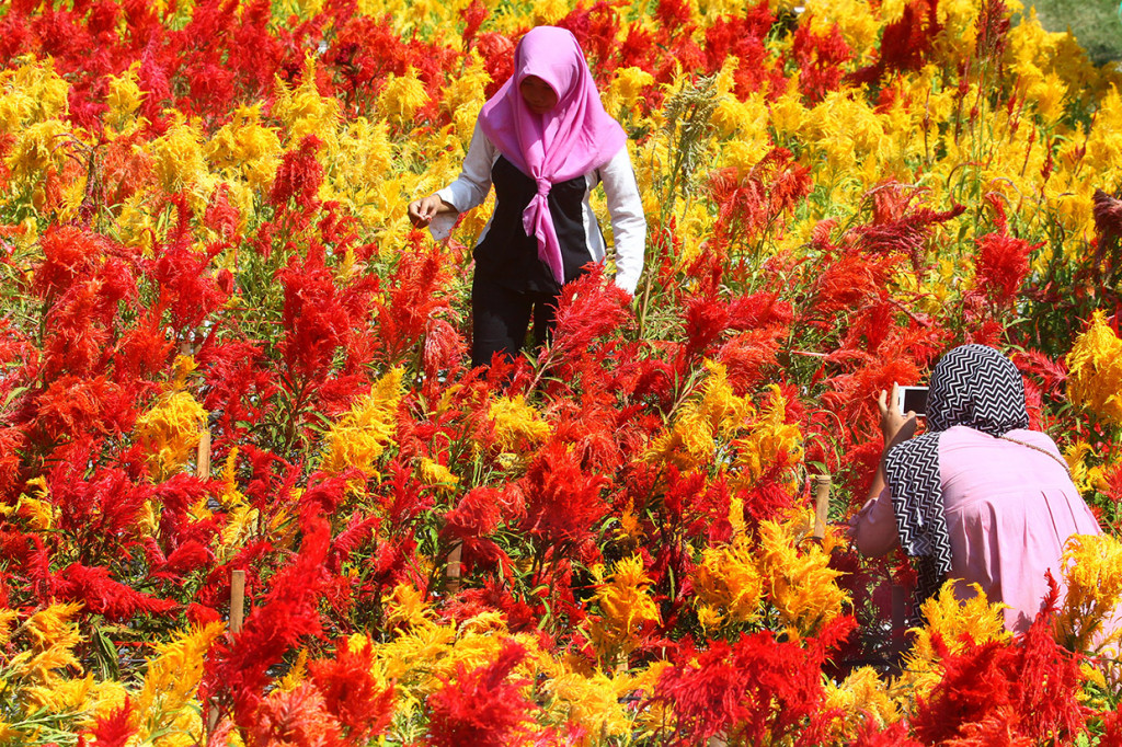 Berkunjung ke Taman Bunga Soeratmo di Ngawi