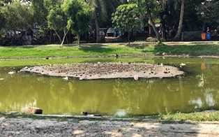 Warga Belum Merasakan Dampak Musim Kemarau