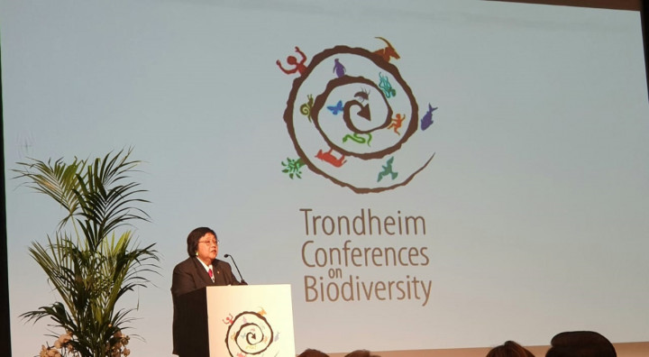 Pemerintah Serius Mengurangi Sampah Plastik di Laut