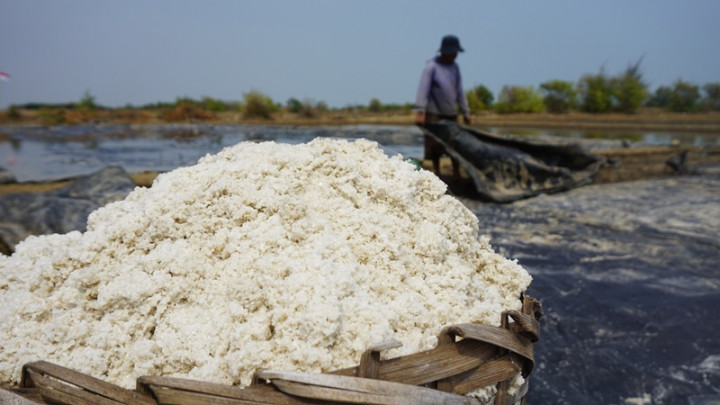 Harga Garam di Jepara Mencapai Rp300 Per Kg