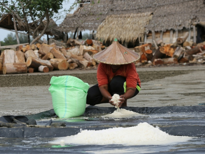KKP Bantu NTB Tingkatkan Kualitas Garam