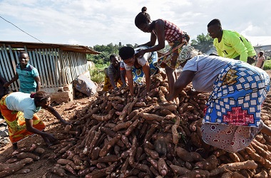 PBB: 821 Juta Orang Kelaparan Sepanjang 2018