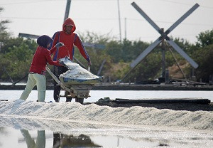 Pemprov Jatim Minta Pusat Hentikan Impor Garam