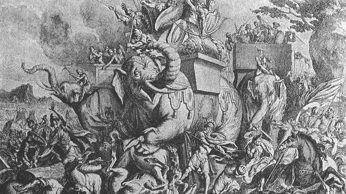 ILUSTRASI: Pasukan gajah/wikipedia