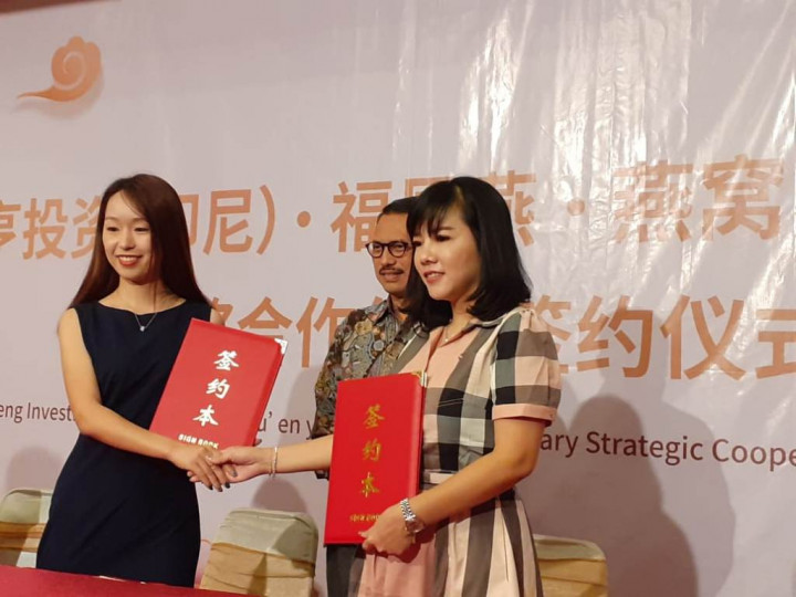 Kemendag Lepas 10 Ton Ekspor Sarang Burung Walet