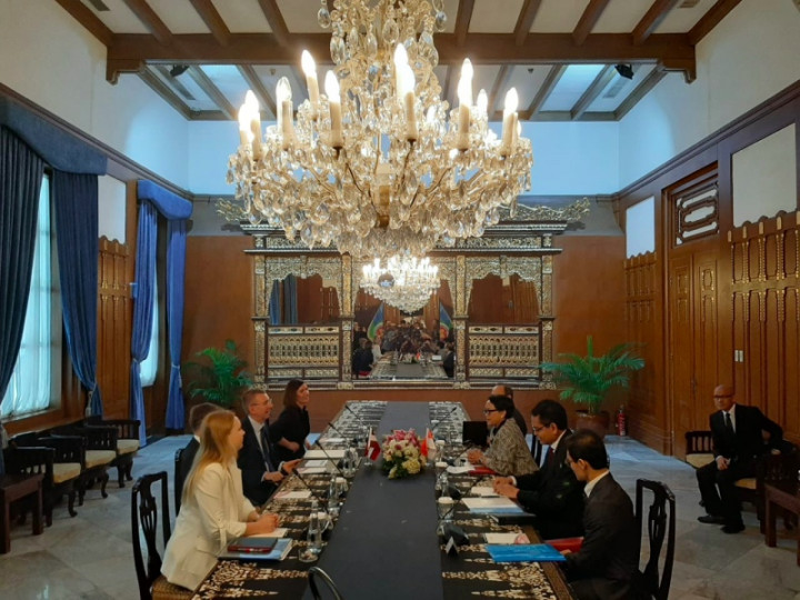 Separuh Perdagangan RI-Latvia Didominasi Produk Sawit