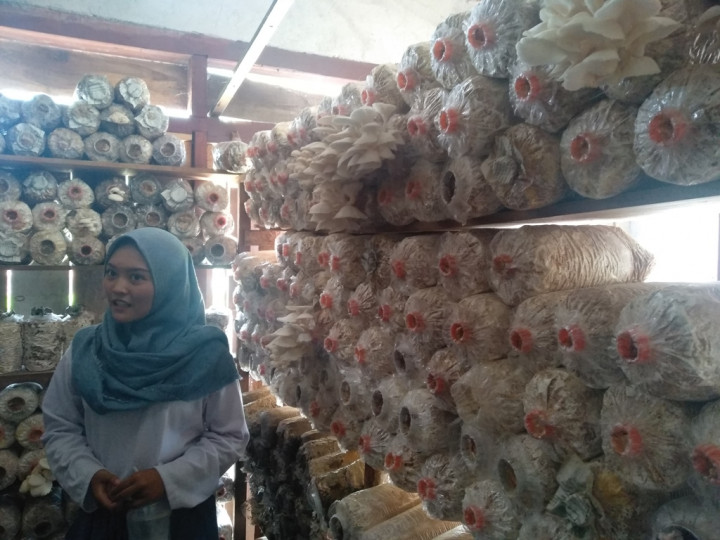 Omzet UKM Binaan PNM Tembus Ratusan Juta