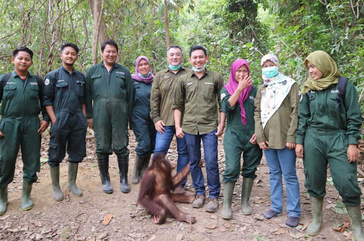 Jago Bikin Ban, Bridgestone juga Jago 'Adopsi' Orang Utan