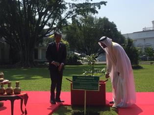 Jokowi Ajak Pangeran Abu Dhabi Tanam Pohon Damar