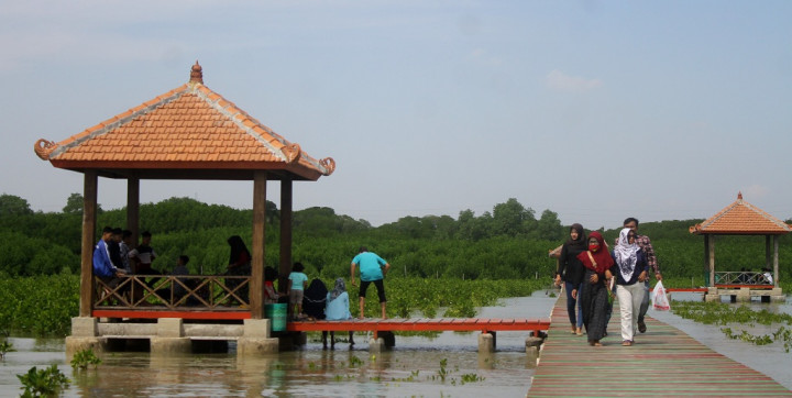 <i>Hybrid Engineering</i> Dinilai Efektif Mencegah Penurunan Tanah