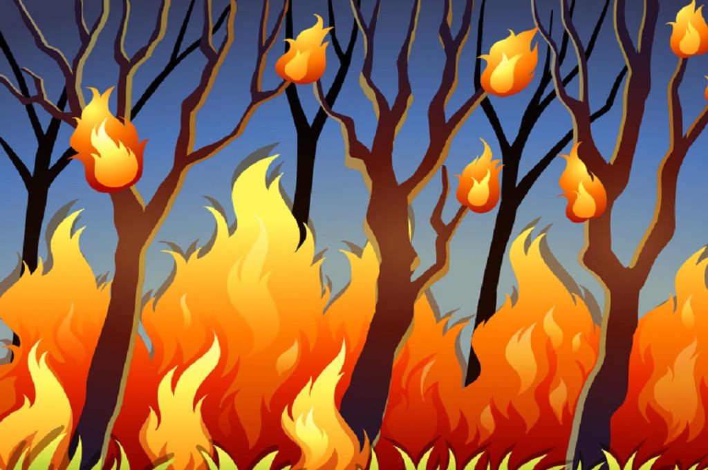 35+ Ide Lukisan Tentang Kebakaran Hutan