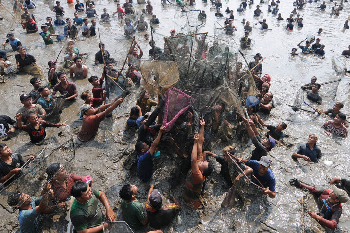 Serunya Tradisi Memet Ikan di Klaten